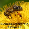 Bienenzuchtverein
