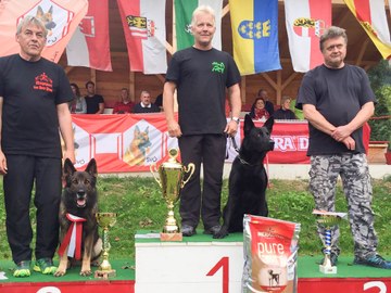 Eugen Finzgar der SVÖ (Österr.Verein für Deutsche Schäferhunde)  - Bundesmeister 2016 ist auf Weltmeister-Kurs!