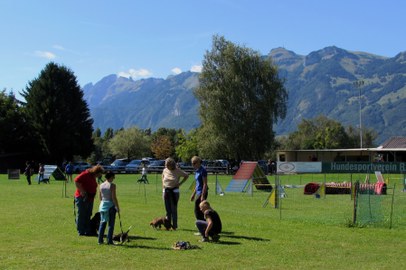 Hundesportverein Rankweil - Hundeschule: Erziehungskurse