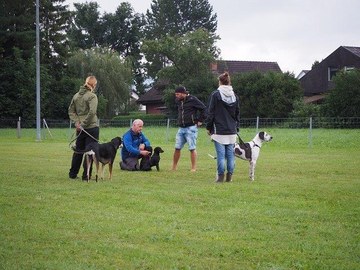 Hundesportverein RANKWEIL - Hundeschule Rankweil Erziehungskurse