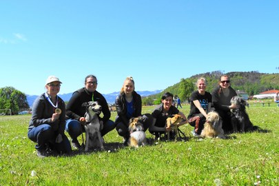 Hundesportverein RANKWEIL Sektion Agility : Agility Erststarter-Turnier April 2017