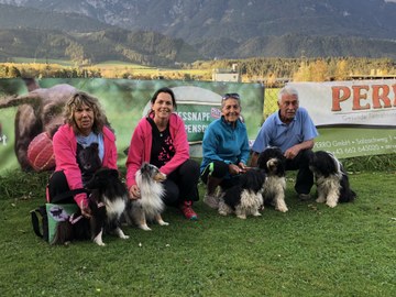 Hundesportverein RANKWEIL Sektion Agility/ Alpencup Tirol 2018