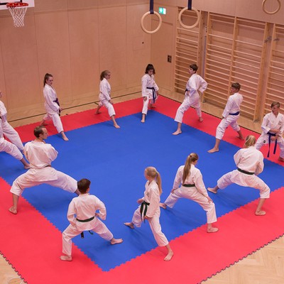 Karateprüfung 01.06.17-6613.jpg
