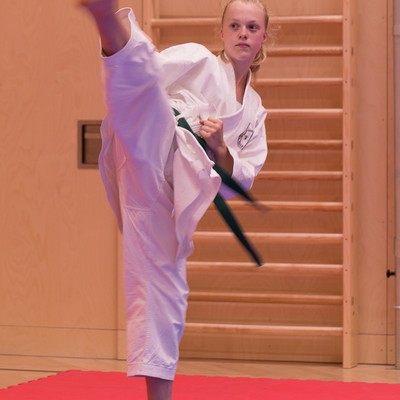 Karateprüfung 01.06.17-6684.jpg