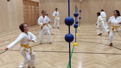 Raiffeisen Karateclub Rankweil - Anfänger-Training