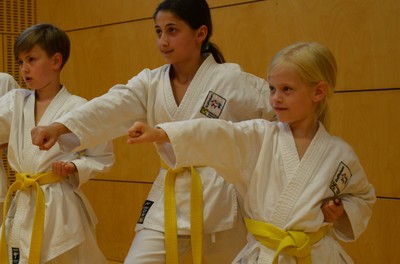 Start Anfängertraining Karateclub