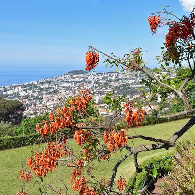 1 Funchal.jpg