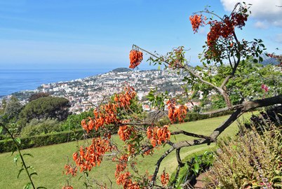 Madeira - die Blumeninsel