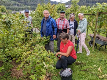 Beerenpflege mit Marianne Scheidbach